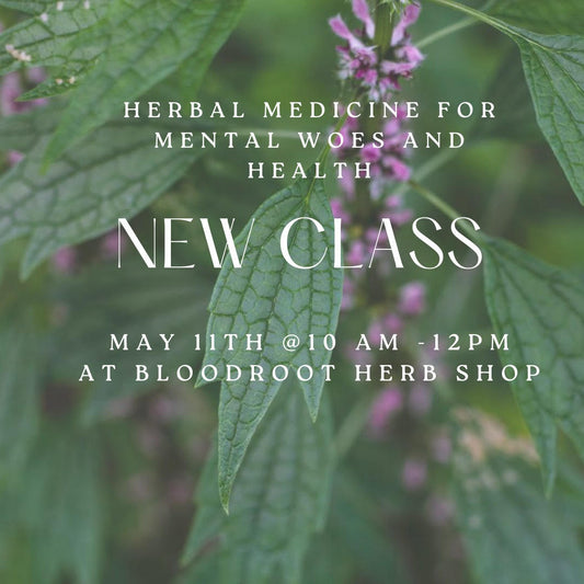 Herbal Allies For Mental Health | May 11th