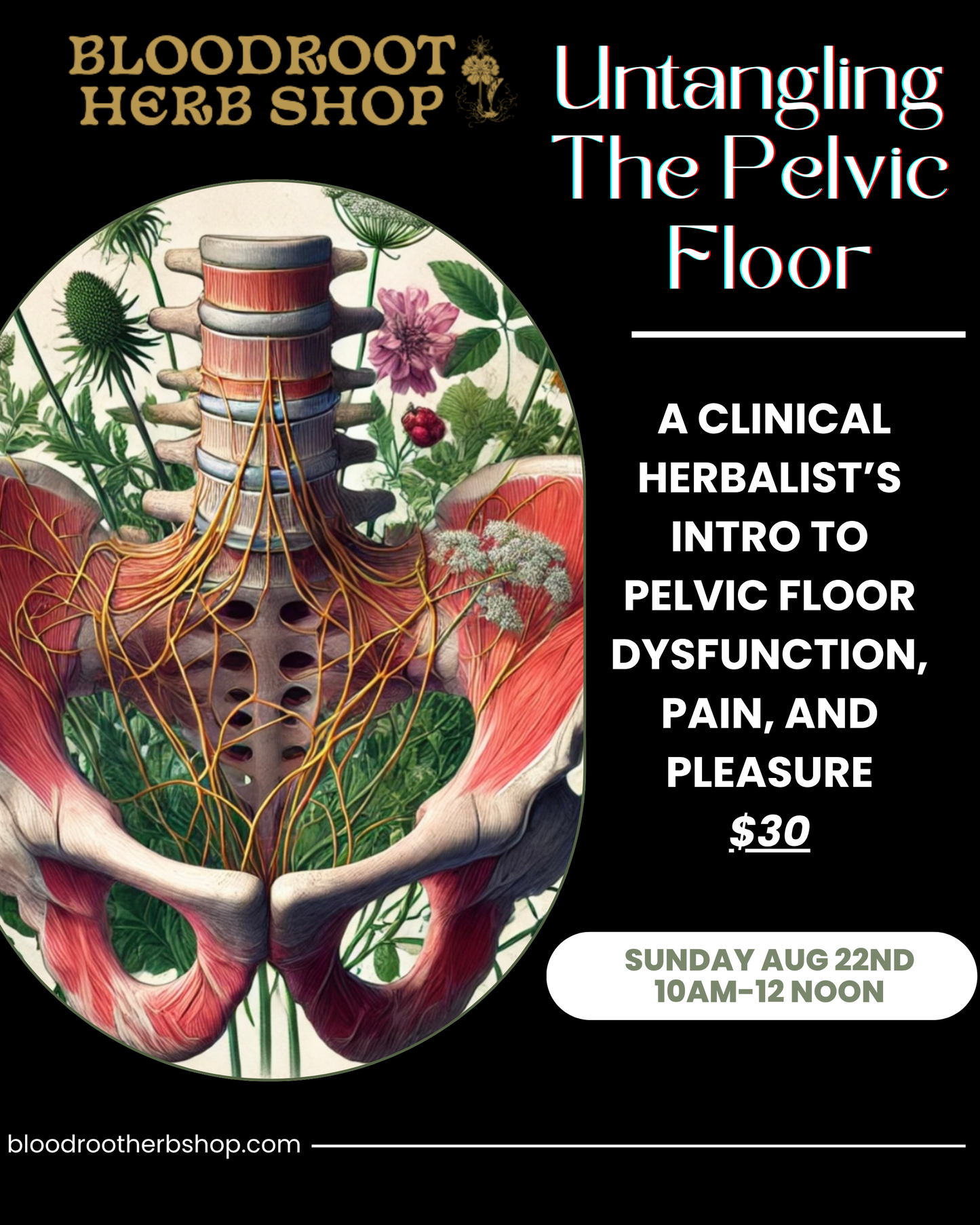 Untangling the pelvic floor class