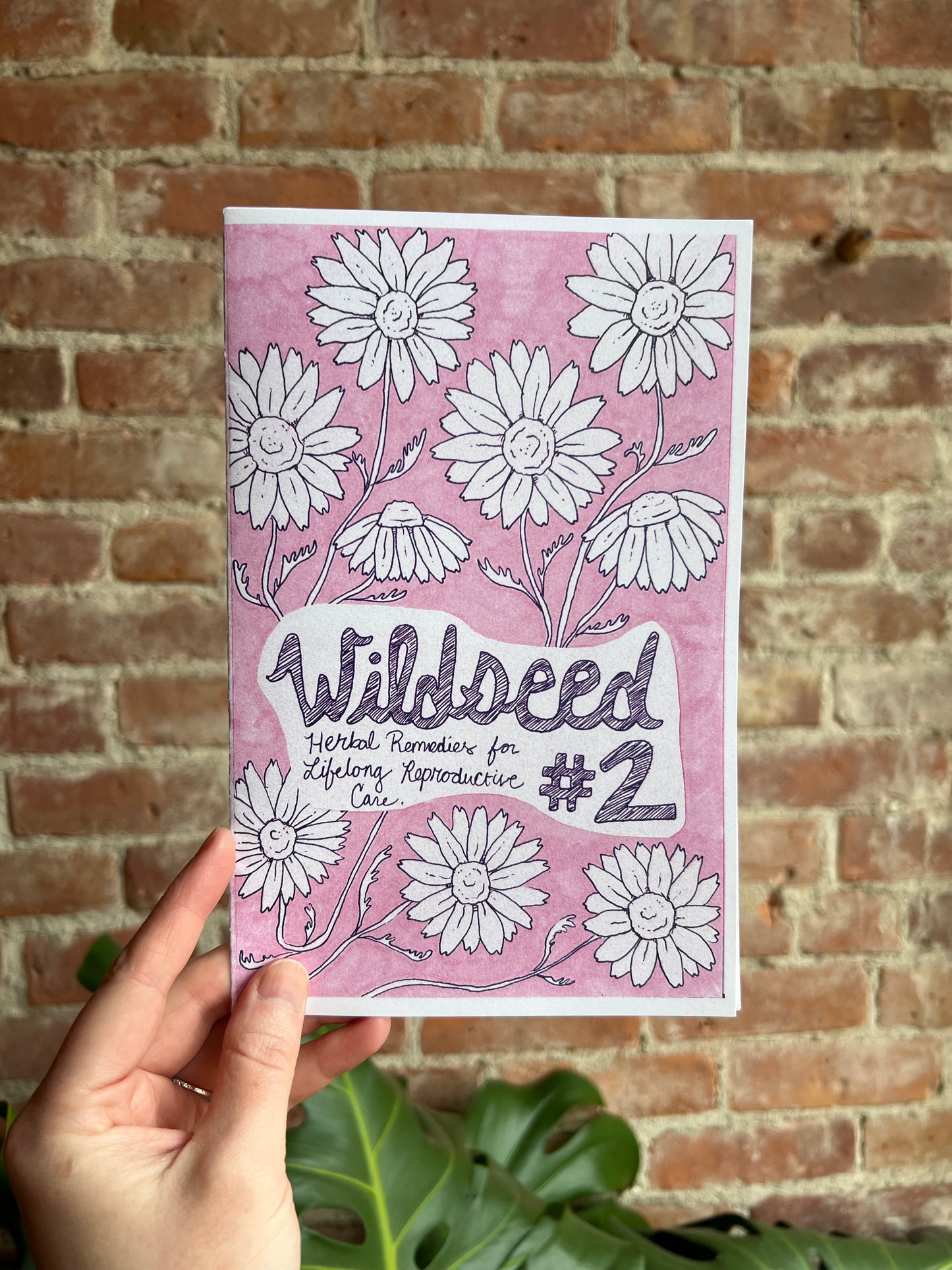 Wildseed Feminism #2: Herbal Remedies for Lifelong Reproductive Care
