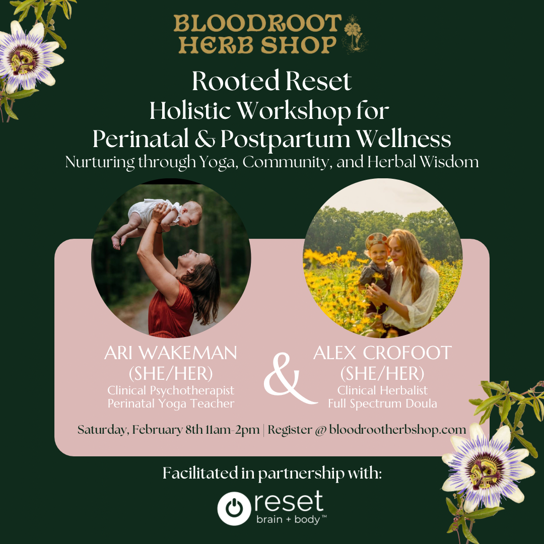Rooted Reset: A Holistic Workshop for Perinatal & Postpartum Wellness