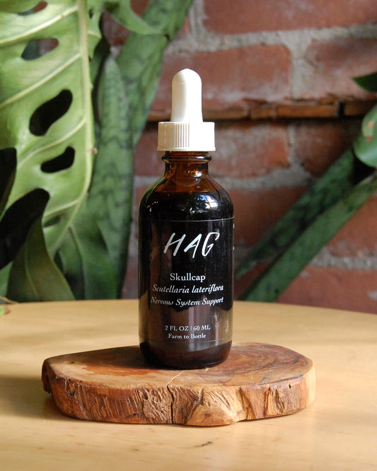 HAG Skullcap Simple Tincture | Pain and Stress Support