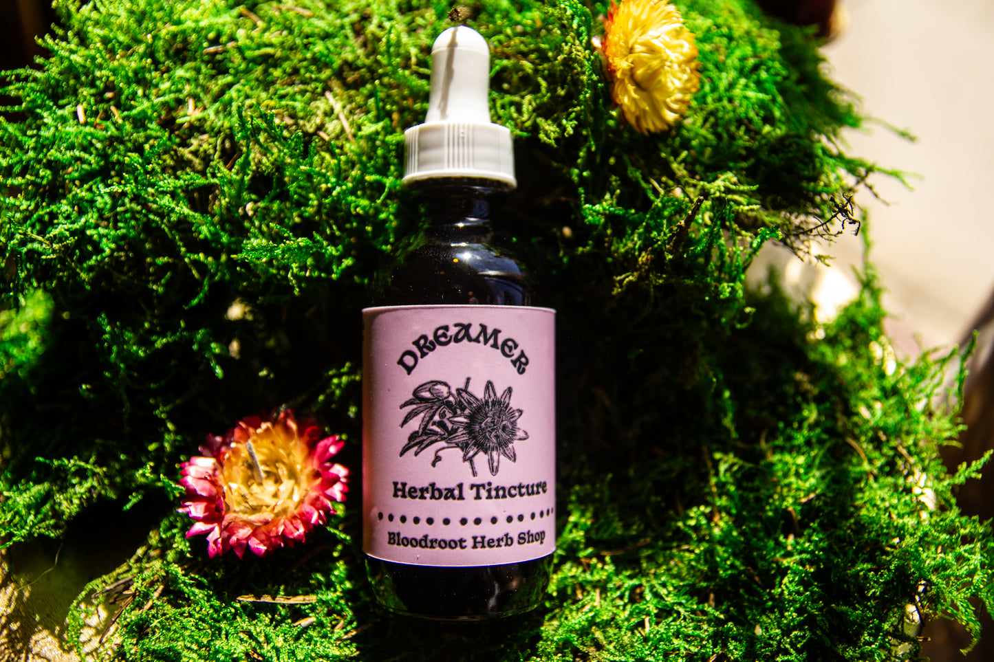 Dreamer | Herbal Tincture for Sleep, Anxiety Relief & Nervous System Calm