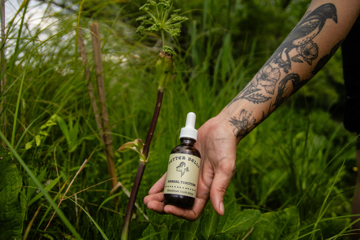 Better Belly Bitters | Herbal Digestive Bitters for Bloating, Gas & Indigestion