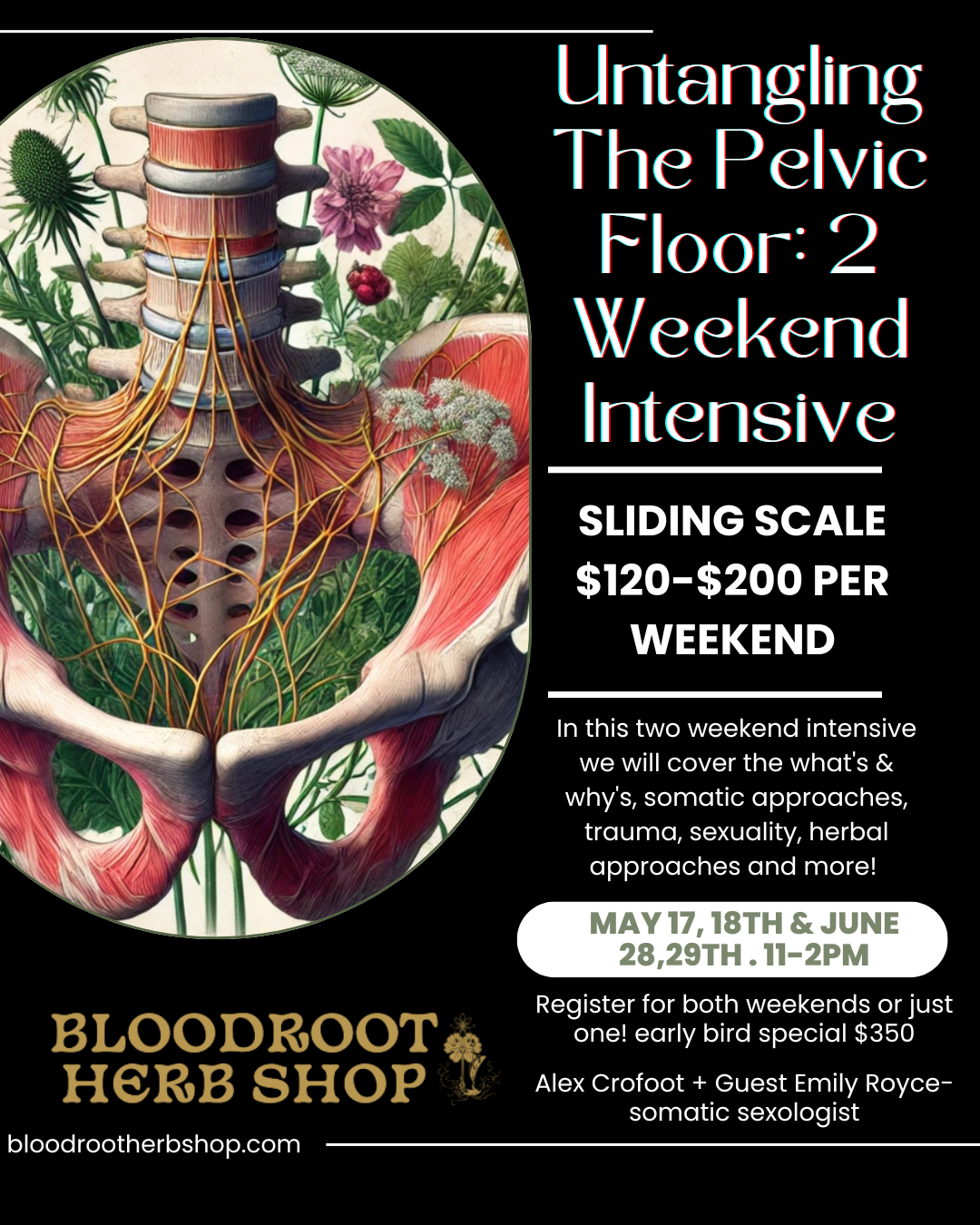 Untangling The Pelvic Floor Herbal Intensive