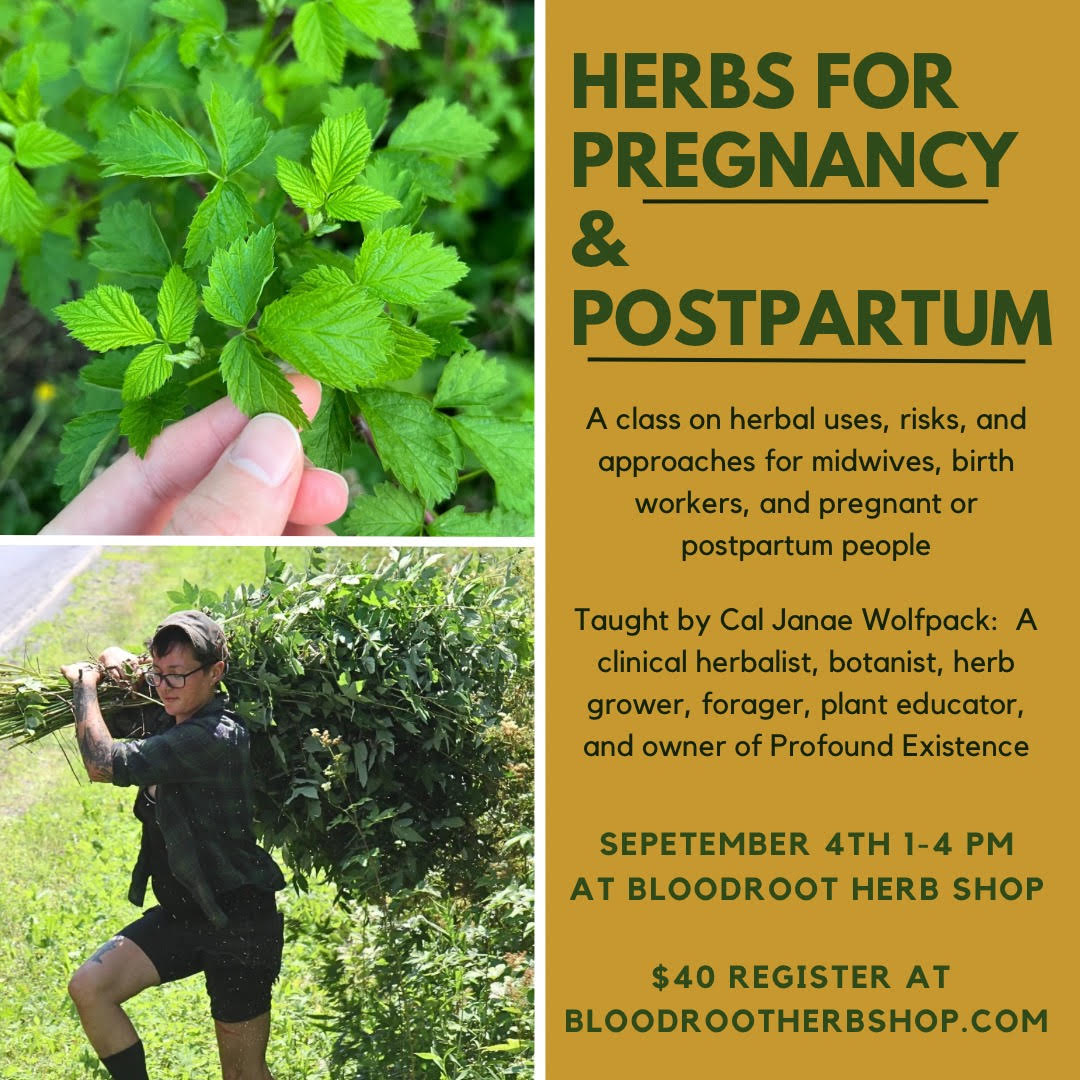 Herbs for Pregnancy and Postpartum