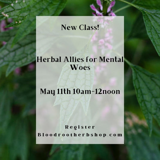 Herbal Allies For Mental Health