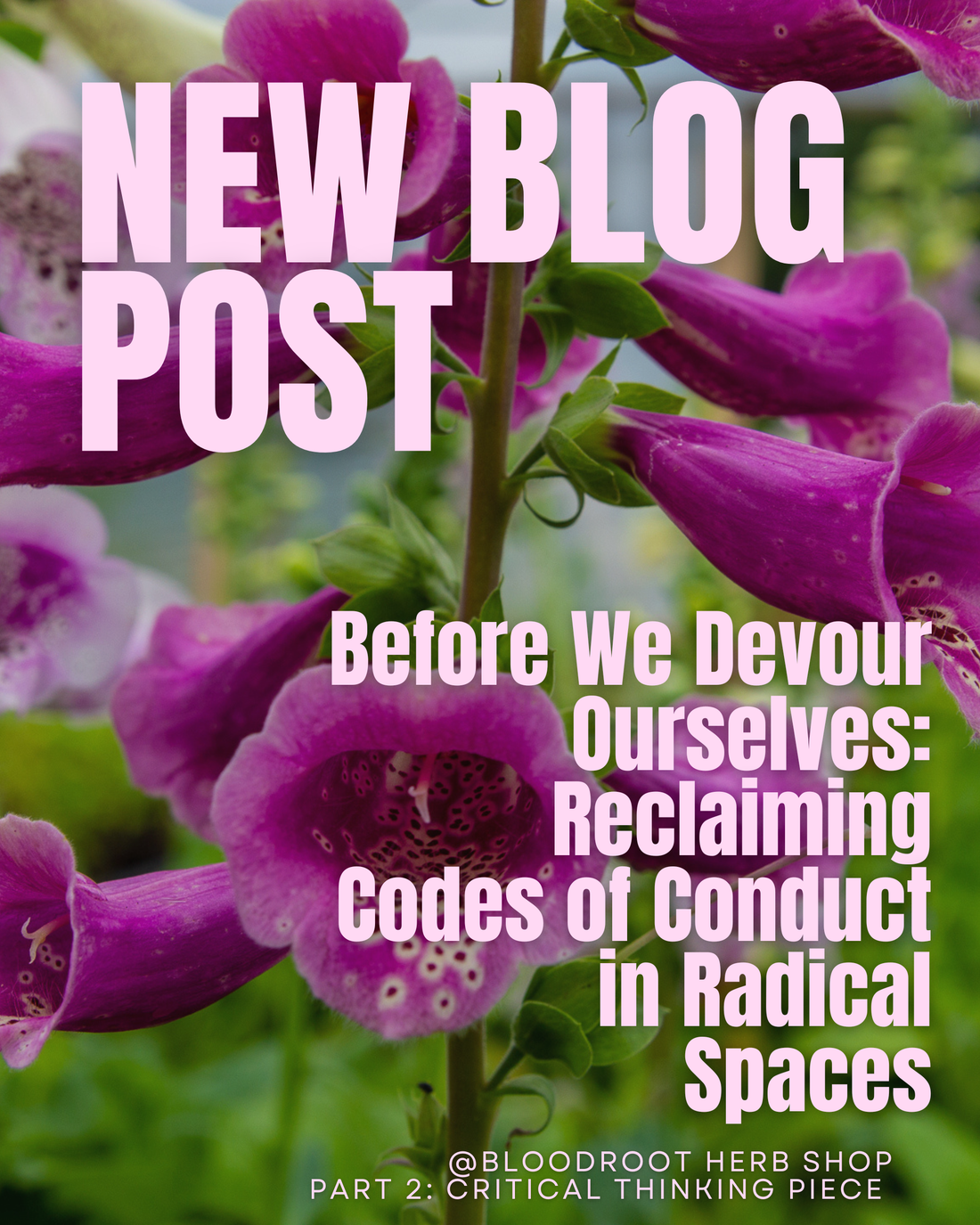 Before We Devour Each Other: Reclaiming Codes of Conduct in Radical Spaces