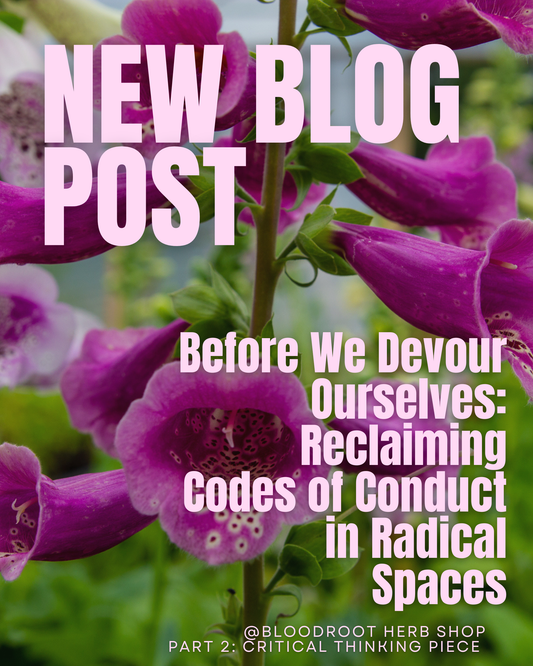 Before We Devour Each Other: Reclaiming Codes of Conduct in Radical Spaces