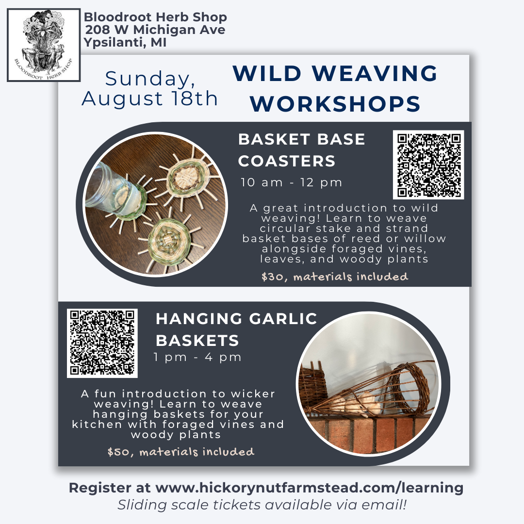 Basket Base Coasters + Willow Hanging Basket | August 18th
