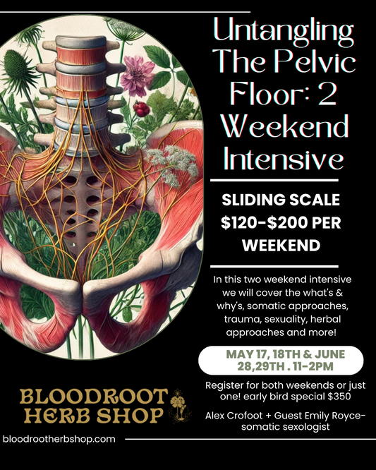 Untangling The Pelvic Floor Two Weekend Intensive