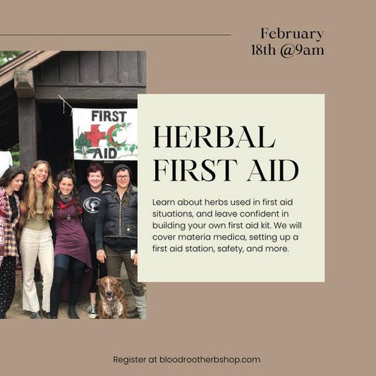 Herbal First Aid Class | Feb 18th