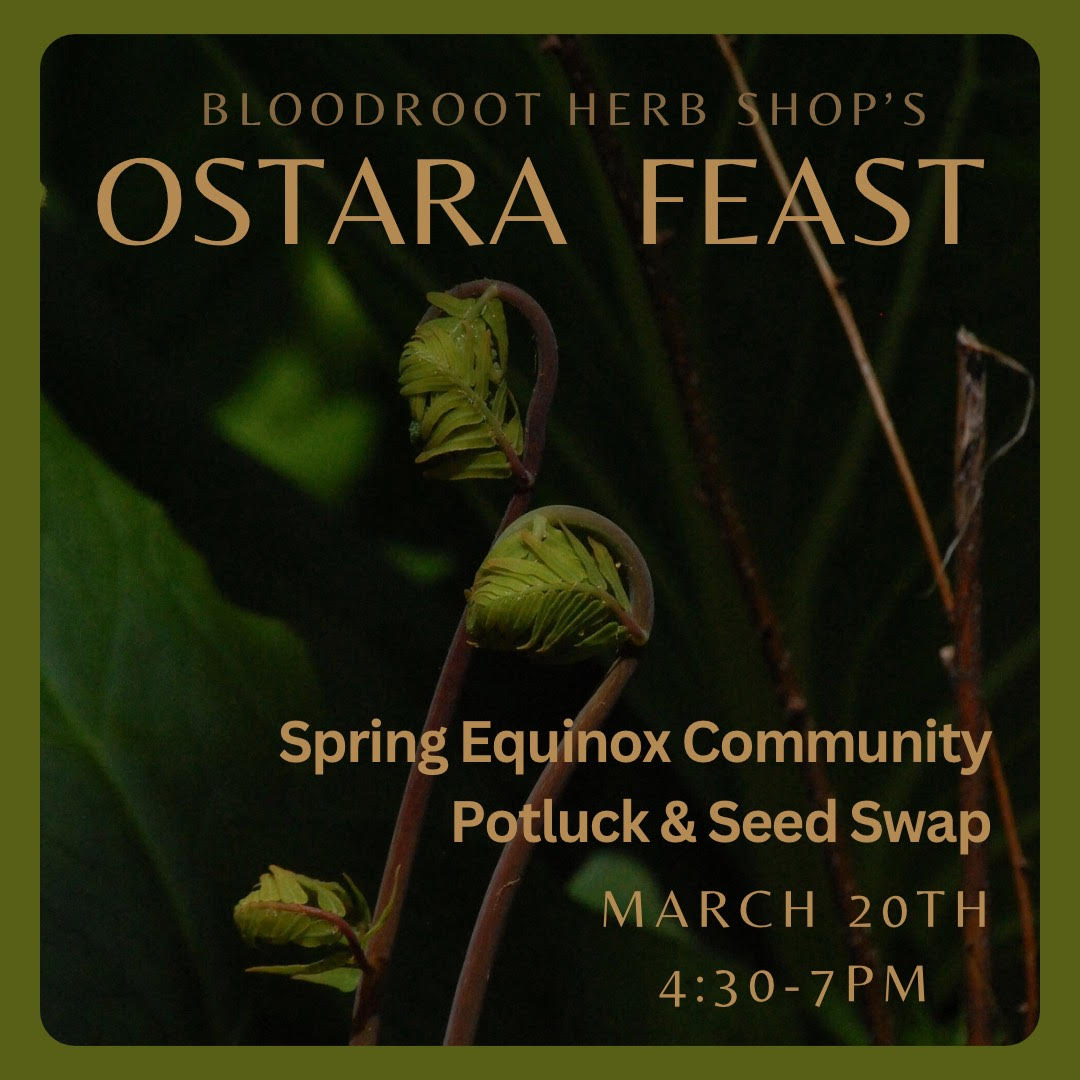 Ostara Potluck & Seed Swap | March 20th