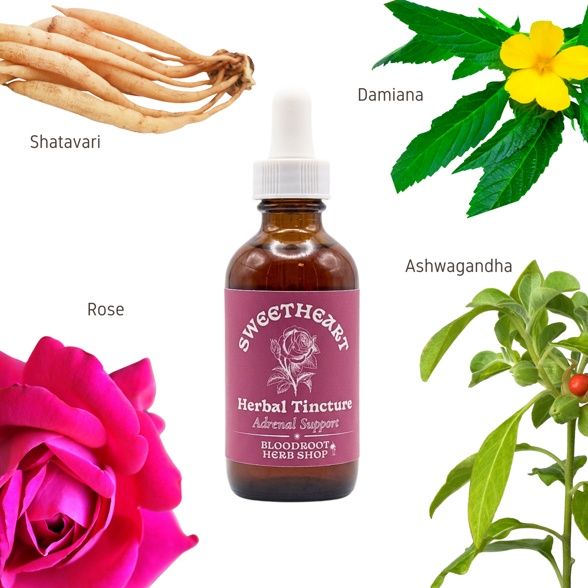 Sweetheart | Adrenal, Libido & Stress Support | Aphrodisiac Adaptogen Blend