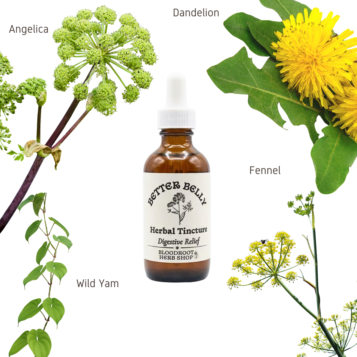 Better Belly Bitters | Herbal Digestive Bitters for Bloating, Gas & Indigestion