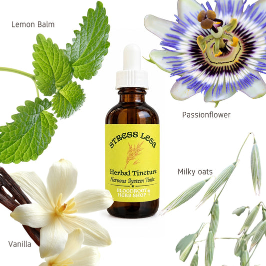 Stress Less | Herbal Tincture for Burnout, Wired & Tired Nervous System