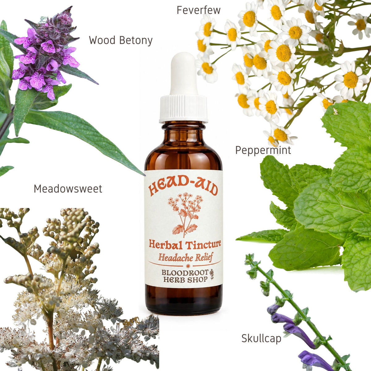 Head-Aid | Herbal Tincture for Migraine Relief & Headache Prevention