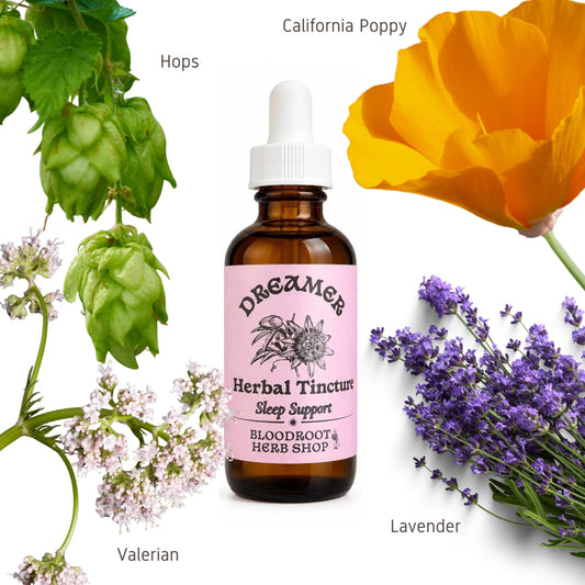 Dreamer | Herbal Tincture for Sleep, Anxiety Relief & Nervous System Calm