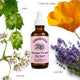 Dreamer | Herbal Tincture for Sleep, Anxiety Relief & Nervous System Calm