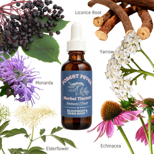 Forest Fever | Herbal Tincture for Immune Support, Fevers & Cold Season Wellness
