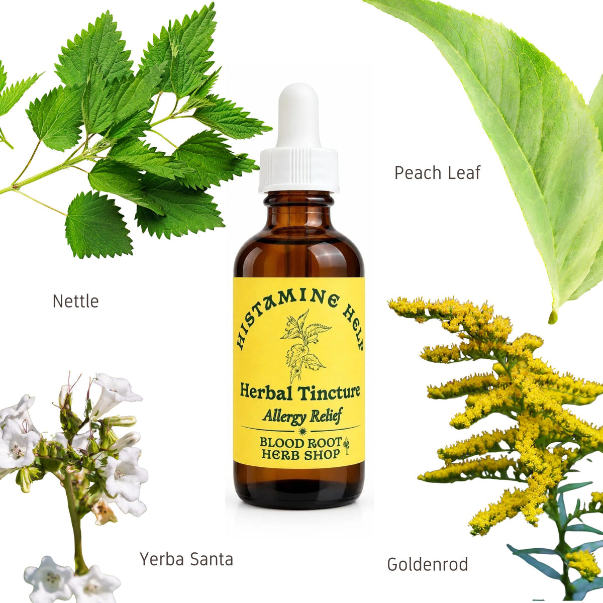 Histamine Help |  Herbal Tincture for Seasonal Allergies & Mast Cell Support