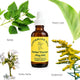 Histamine Help |  Herbal Tincture for Seasonal Allergies & Mast Cell Support