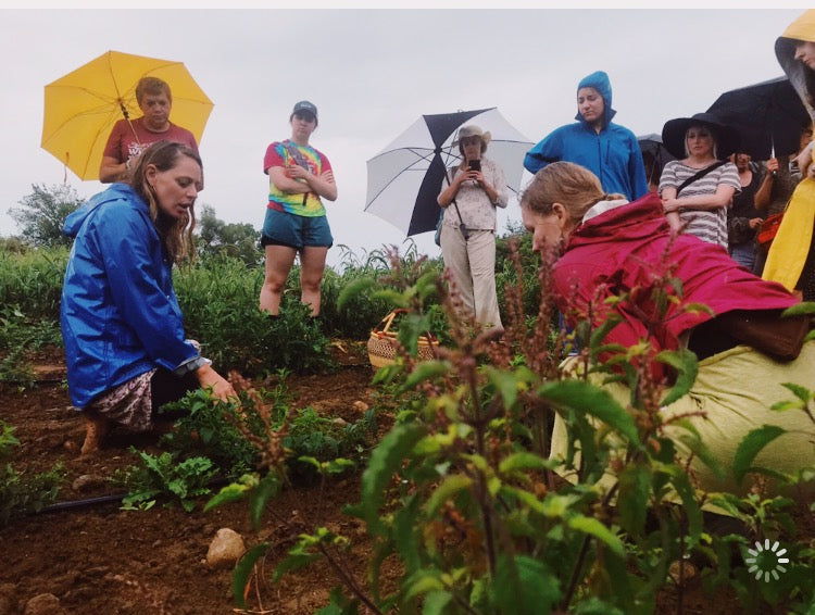 Gather & Garble Medicine Making Intensive Course