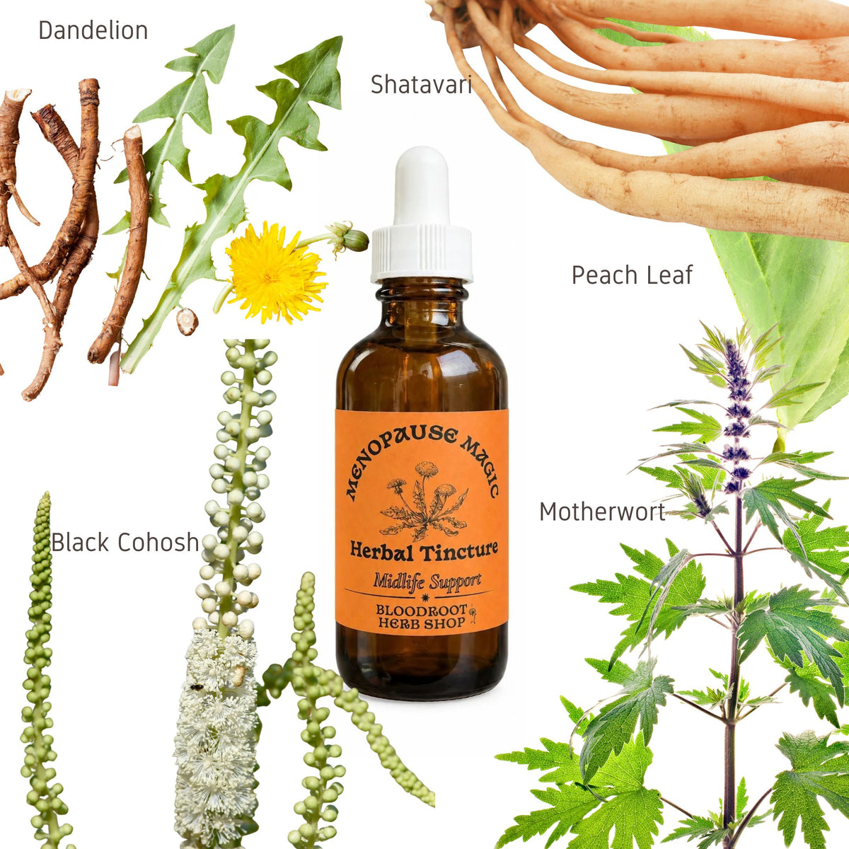 Menopause Magic | Hormone Support for Perimenopause & Menopause