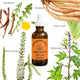 Menopause Magic | Hormone Support for Perimenopause & Menopause