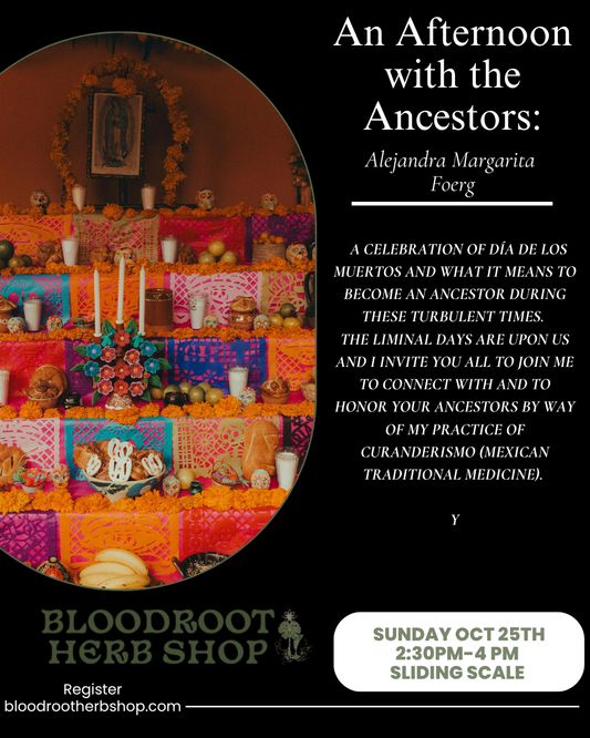 An Afternoon with the Ancestors with Alejandra Maragarita Foerg