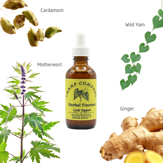 Cramp Comfort | Herbal Tincture for Menstrual Cramp Relief & Bloating