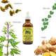 Cramp Comfort | Herbal Tincture for Menstrual Cramp Relief & Bloating