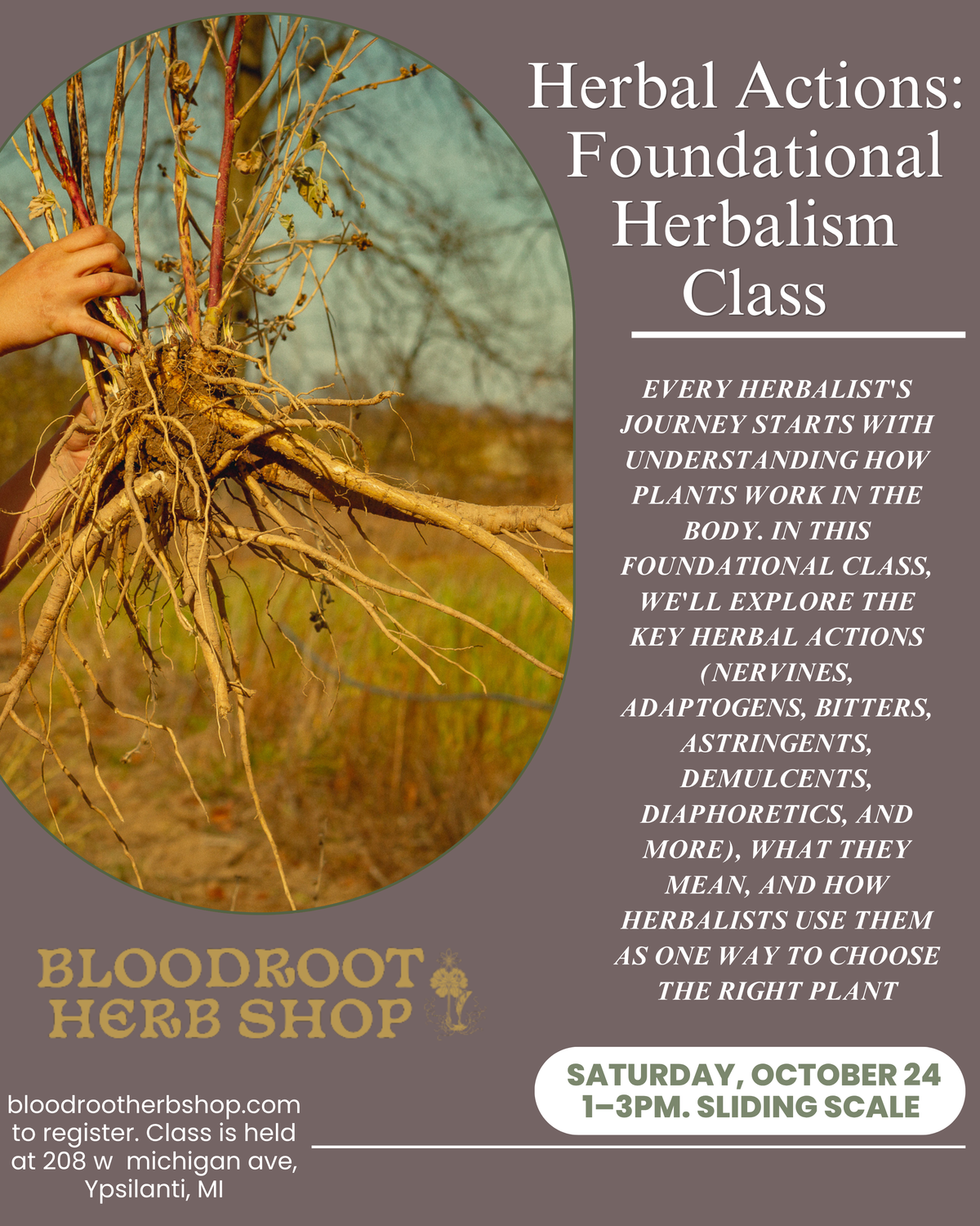 Herbal Actions: Foundational Herbalism