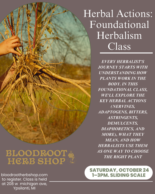 Herbal Actions: Foundational Herbalism