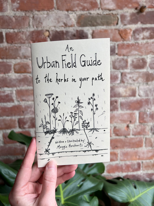 An Urban Field Guide to the Herbs in Your Path