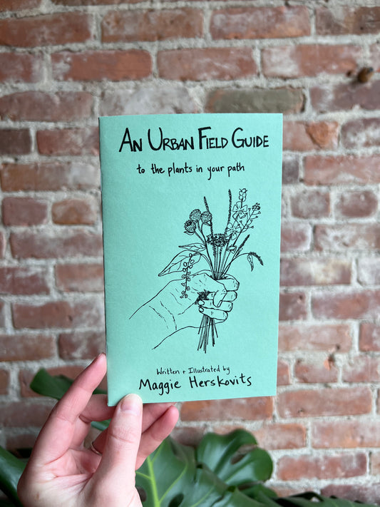 An Urban Field Guide to the Plants in Your Path