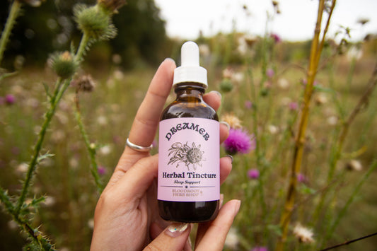 Dreamer | Herbal Tincture for Sleep, Anxiety Relief & Nervous System Calm