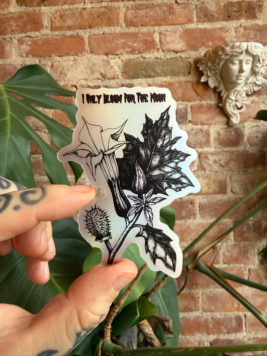 Datura sticker