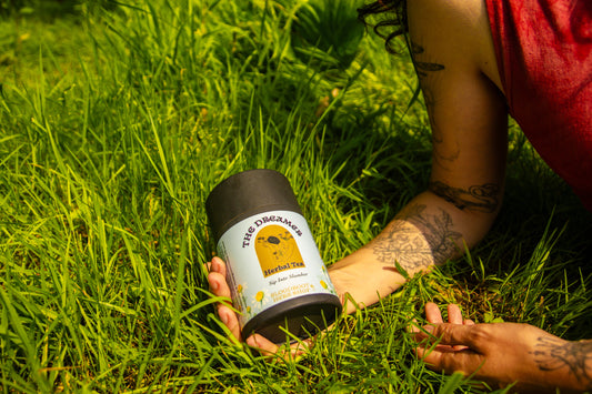 The Dreamer | Calming Herbal Tea for Sleep, Relaxation & Nervous System Support