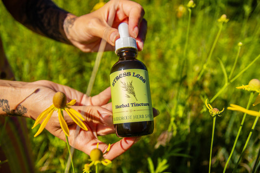 Stress Less | Herbal Tincture for Burnout, Wired & Tired Nervous System