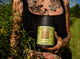 Liver Love |  Herbal Tea for Detox, Inflammation & Liver Support