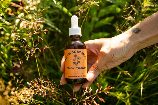 Menopause Magic | Plant-Based Hormone Support for Perimenopause & Menopause