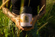 Hands holding a Bloodroot Herb Shop Surrender herbal tea canister labeled Breath + Let Go in tall grass