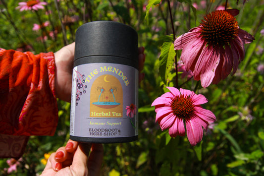 The Mender | Immune Support Herbal Tea for Cold Season, Scratchy Throats & Daily Wellness