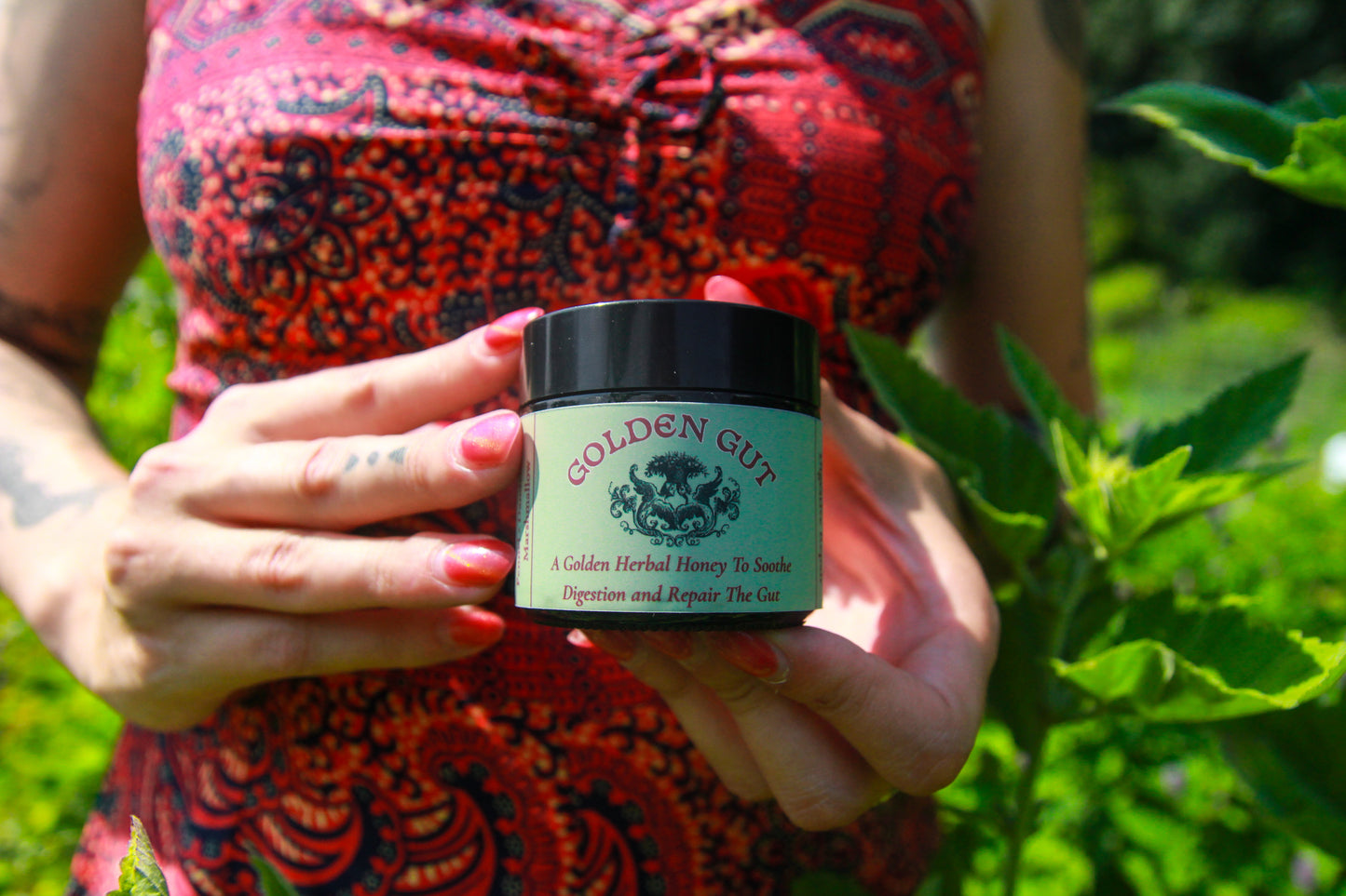 Golden Gut Herbal Electuary | Digestive Wellness Honey