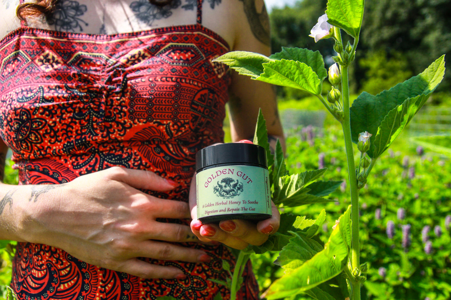 Golden Gut Herbal Electuary | Digestive Wellness Honey