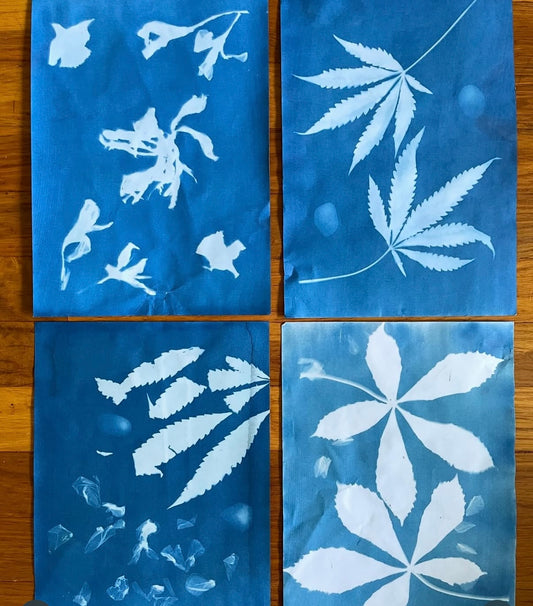Solstice Cyanotype Workshop June 22nd