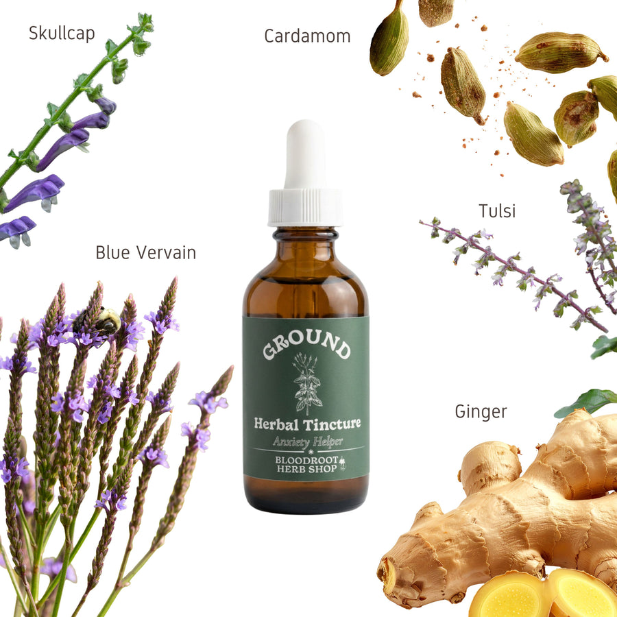 Ground | Herbal Tincture for Anxiety, Adrenal Support & Nervous System Reset